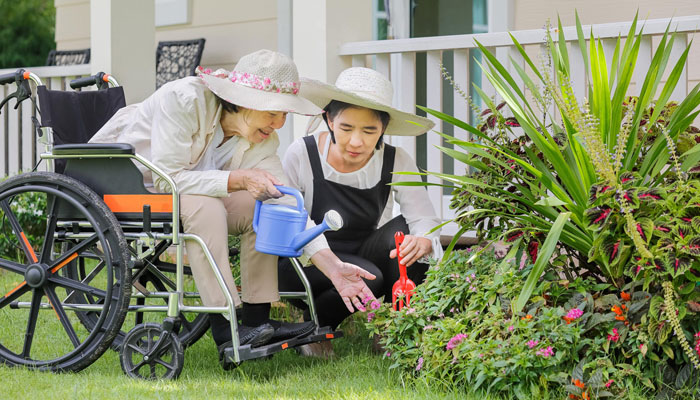 Yard Maintenance